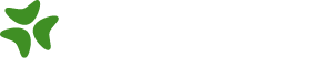 Bloomerang Logo